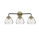 Fulton Bath Vanity Light shown in the Black Antique Brass finish with a Clear shade