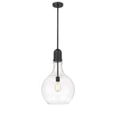Amherst Pendant shown in the Matte Black finish with a Clear shade