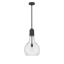 Amherst Mini Pendant shown in the Matte Black finish with a Seedy shade