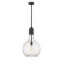 Amherst Pendant shown in the Matte Black finish with a Seedy shade