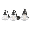 Olean Bath Vanity Light shown in the Oil Rubbed Bronze finish with a Seedy shade