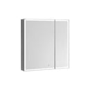 Aquadom AQUADOM Edge Royale LED Medicine Mirror Cabinet Recessed or Surface Mounted Defogger Dimmer LED 3X Makeup Mirror Electrical Outlets ER-3032