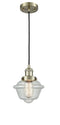 Innovations Lighting Small Oxford 1-100 watt 8 inch Antique Brass Mini Pendant  Seedy glass 201CABG534