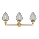 Innovations Lighting Geneseo 3 Light Bath Vanity Light Part Of The Franklin Restoration Collection 205-SG-G165