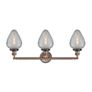 Innovations Lighting Geneseo 3 Light Bath Vanity Light Part Of The Franklin Restoration Collection 205BP-ACBK-G165