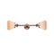 Innovations Lighting Fulton 2 Light Bath Vanity Light Part Of The Franklin Restoration Collection 208-AC-G171