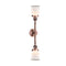 Innovations Lighting Small Canton 2 Light Bath Vanity Light Part Of The Franklin Restoration Collection 208-AC-G181S