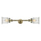 Canton Bath Vanity Light shown in the Antique Brass finish with a Seedy shade
