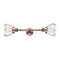 Innovations Lighting Fulton 2 Light Bath Vanity Light Part Of The Franklin Restoration Collection 208L-AC-G172