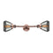 Fulton Bath Vanity Light shown in the Antique Copper finish with a Plated Smoke shade