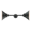 Innovations Lighting Briarcliff 2 Light Bath Vanity Light Part Of The Franklin Restoration Collection 208L-BK-M10-BK