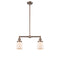 Bell Island Light shown in the Antique Copper finish with a Matte White shade