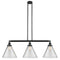 Cone Island Light shown in the Matte Black finish with a Clear shade