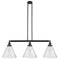 Cone Island Light shown in the Matte Black finish with a Seedy shade