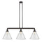 Cone Island Light shown in the Oil Rubbed Bronze finish with a Seedy shade