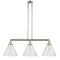 Cone Island Light shown in the Polished Nickel finish with a Seedy shade