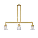 Canton Island Light shown in the Satin Gold finish with a Seedy shade