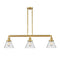 Cone Island Light shown in the Satin Gold finish with a Seedy shade