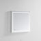 Aquadom 30in x 30in x 1.5in Daytona Wall Mount LED Lighted Mirror for Bathroom, 3D Color Temperature Lights Cool/Warm, Clock, Defogger, Dimmer