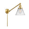 Cone Swing Arm shown in the Satin Gold finish with a Clear shade