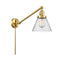 Cone Swing Arm shown in the Satin Gold finish with a Seedy shade