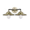 Railroad Bath Vanity Light shown in the Black Antique Brass finish with a Antique Brass shade