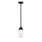 Dover Mini Pendant shown in the Matte Black finish with a Clear shade