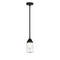 Dover Mini Pendant shown in the Matte Black finish with a Seedy shade
