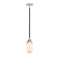 Dover Mini Pendant shown in the Black Polished Nickel finish with a Matte White shade
