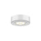 Dals Lighting 2-In-1 LED Puck K4005FR-WH