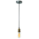 Dainolite 1 Light Pendant, Vintage Steel and Antique Brass 409-42P-VS