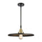 Appalachian Mini Pendant shown in the Black Antique Brass finish with a Matte Black shade