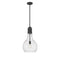 Amherst Mini Pendant shown in the Matte Black finish with a Seedy shade