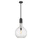 Amherst Pendant shown in the Matte Black finish with a Seedy shade