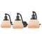 Fulton Bath Vanity Light shown in the Oil Rubbed Bronze finish with a Matte White shade