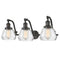 Fulton Bath Vanity Light shown in the Oil Rubbed Bronze finish with a Clear shade