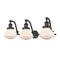 Olean Bath Vanity Light shown in the Oil Rubbed Bronze finish with a Matte White shade