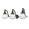 Olean Bath Vanity Light shown in the Oil Rubbed Bronze finish with a Clear shade