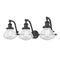 Olean Bath Vanity Light shown in the Oil Rubbed Bronze finish with a Seedy shade