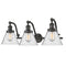 Cone Bath Vanity Light shown in the Oil Rubbed Bronze finish with a Seedy shade