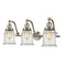 Canton Bath Vanity Light shown in the Brushed Satin Nickel finish with a Seedy shade