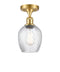 Innovations Lighting Salina 1 Light Semi-Flush Mount Part Of The Ballston Collection 516-1C-SG-G292-LED