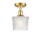 Innovations Lighting Niagra 1 Light Semi-Flush Mount Part Of The Ballston Collection 516-1C-SG-G402