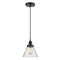 Cone Mini Pendant shown in the Matte Black finish with a Seedy shade