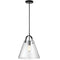 Dainolite 1 Light Incandescent Pendant, Black with Clear Glass 871P-BK