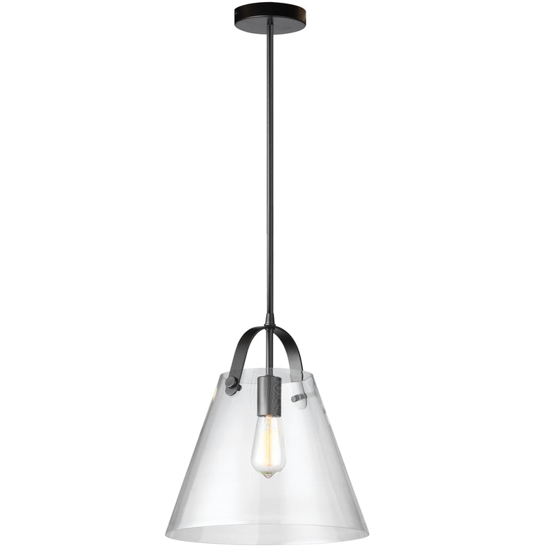 Dainolite 1 Light Incandescent Pendant, Black with Clear Glass 871P-BK