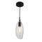 Dainolite 1 Light Incandescent Pendant, Black Finish with Clear Glass ABB-61P-CL