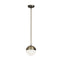 Dainolite 1 Light Halogen Pendant, AB DAY-71P-AB