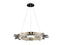 Avenue Lighting Aspen Collection Hanging Chandelier Polished Nickel HF3027-PN