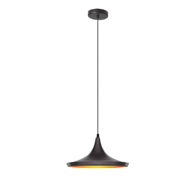 Dainolite 1 Light Pendant, Aluminum HKI-141P-BK